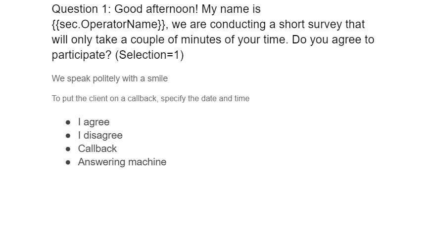 Display of the questionnaire in Google Docs